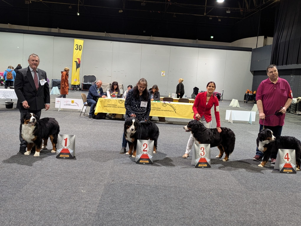 Internationale Rassehundeausstellung Offenburg 14.03.26