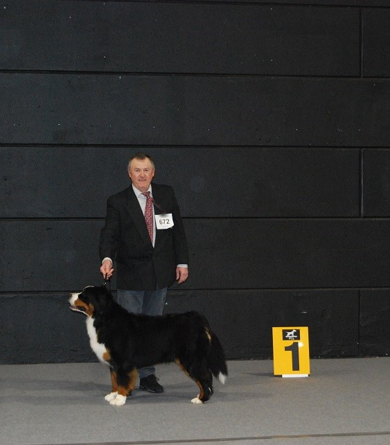 International Dog Shows Luxembourg 04.04.26