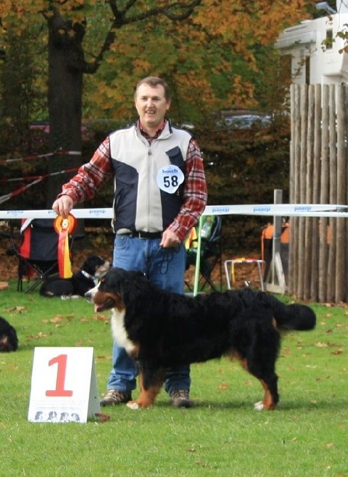 Du vol des alouettes - Expo LG Baden-Württemberg Süd le 24.10.2015.