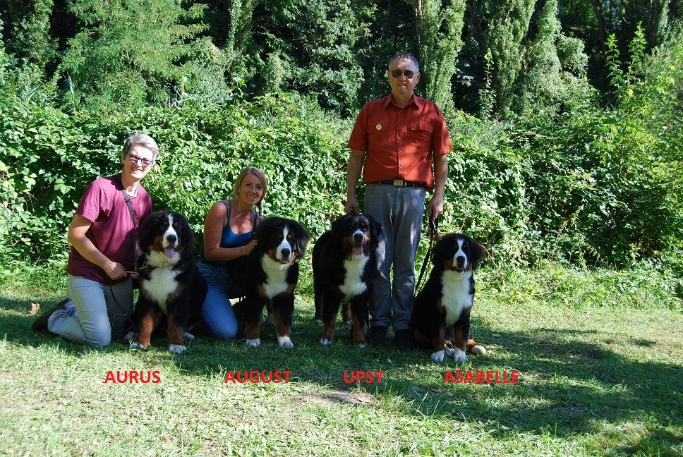 Du vol  des alouettes - Sortie en famille à l'expo de Strasbourg le 24.08.25