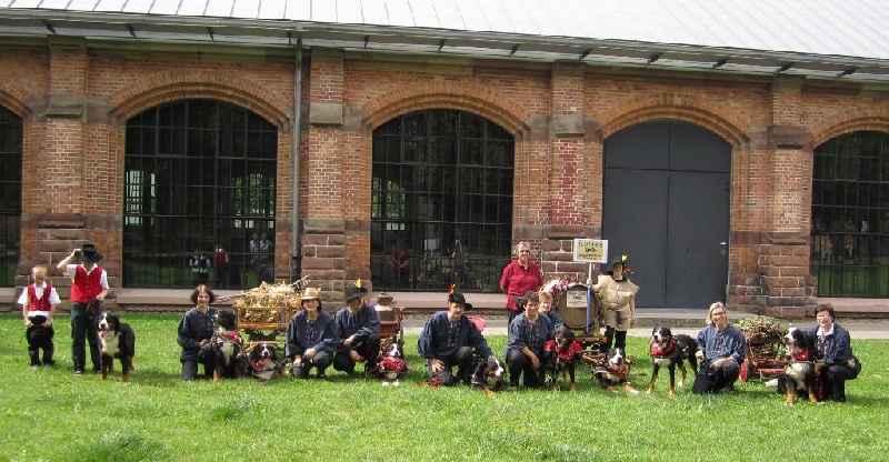 Attelage 2011