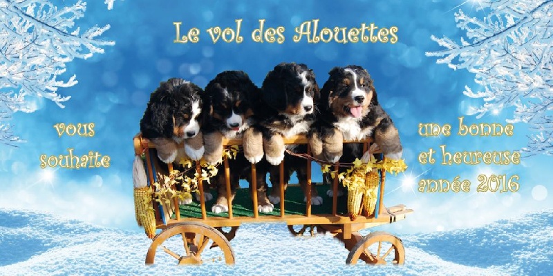 Année 2016