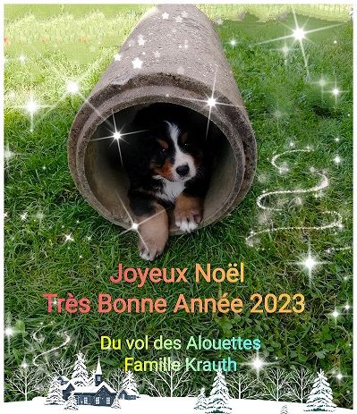 Année 2023