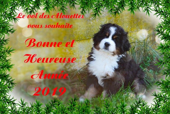 Année 2019