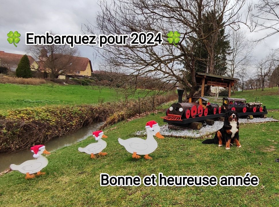 Année 2024