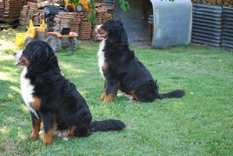 Mai 2011