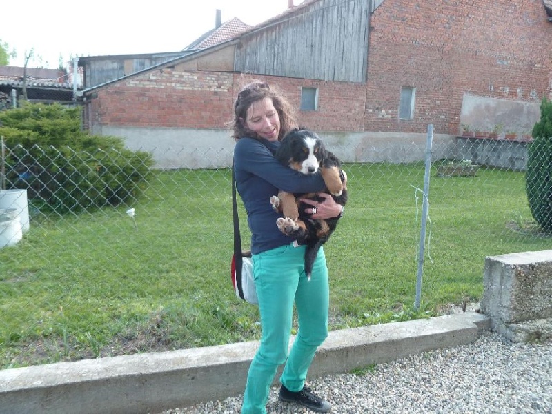 Portée H de Elsa (04.03.12.)