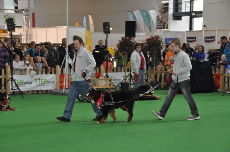 Expos 2014.