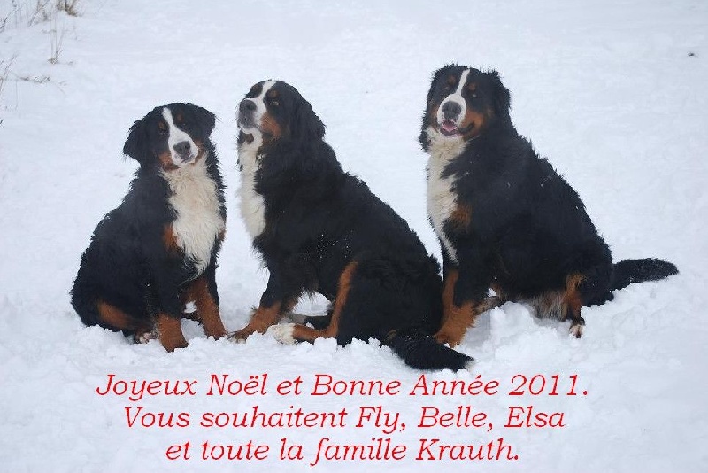 2011