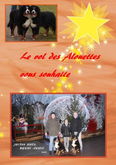 Année 2017