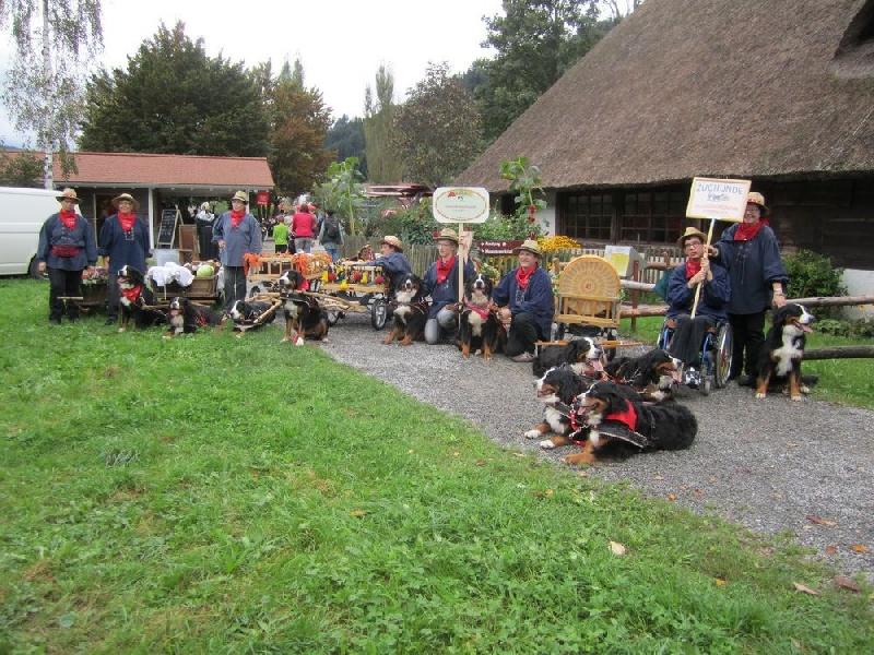 Fête de l'écomusé de Gutach en Forêt-Noir le 21.09.14.