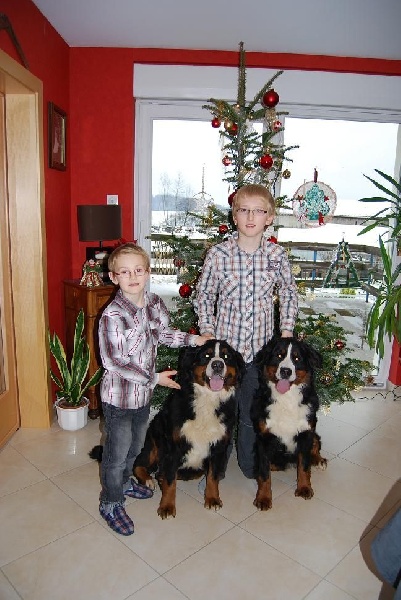 Noël 2011