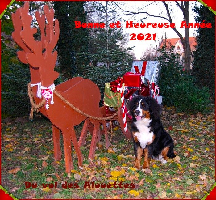 Année 2021